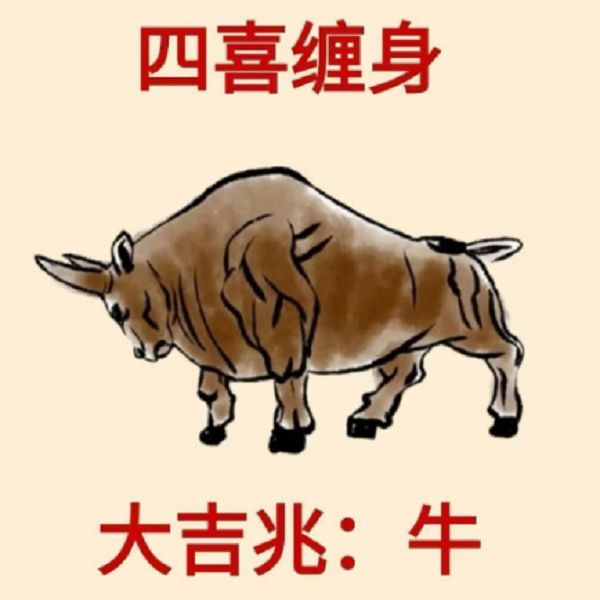 生肖牛