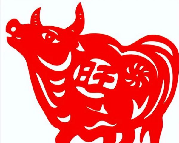 生肖牛